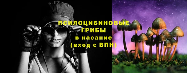 соль ск Богородицк
