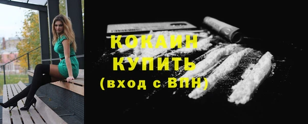соль ск Богородицк