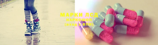 гидропоника Богданович