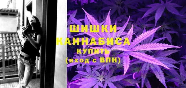 соль ск Богородицк