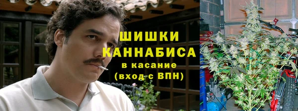 гидропоника Богданович