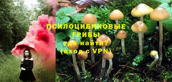 гидропоника Богданович