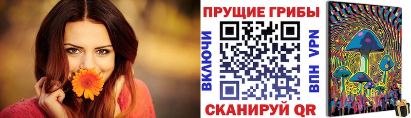 Галлюциногенные грибы прущие грибы  Невельск 